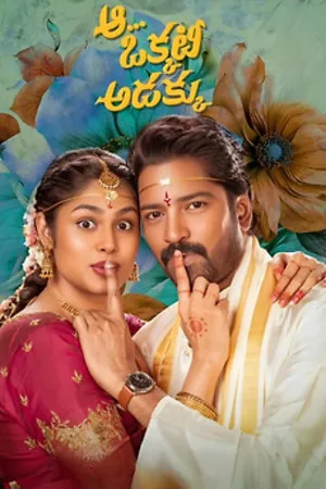Aa Okkati Adakku 2024 Hindi Dual Audio WEB-DL 720p – 480p – 1080p