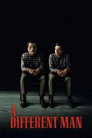 A Different Man 2024 Hindi Dual Audio WEB-DL 720p – 480p – 1080p