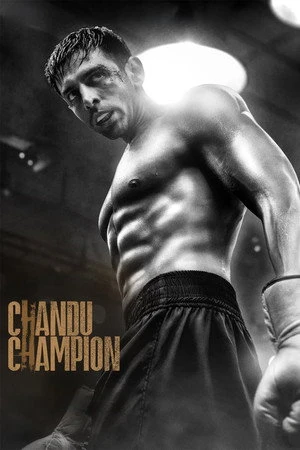 Chandu Champion 2024 Hindi Dual Audio WEB-DL 720p – 480p – 1080p