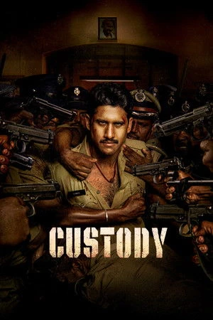 Custody 2023 Hindi Dual Audio WEB-DL 720p – 480p – 1080p