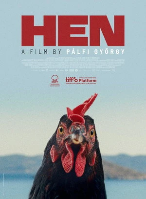 Kota aka Hen 2026 Hindi – Greek Dual Audio WEB-DL 720p – 480p – 1080p