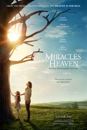 Heaven Is for Real 2014 Hindi Dual Audio WEB-DL 720p – 480p – 1080p