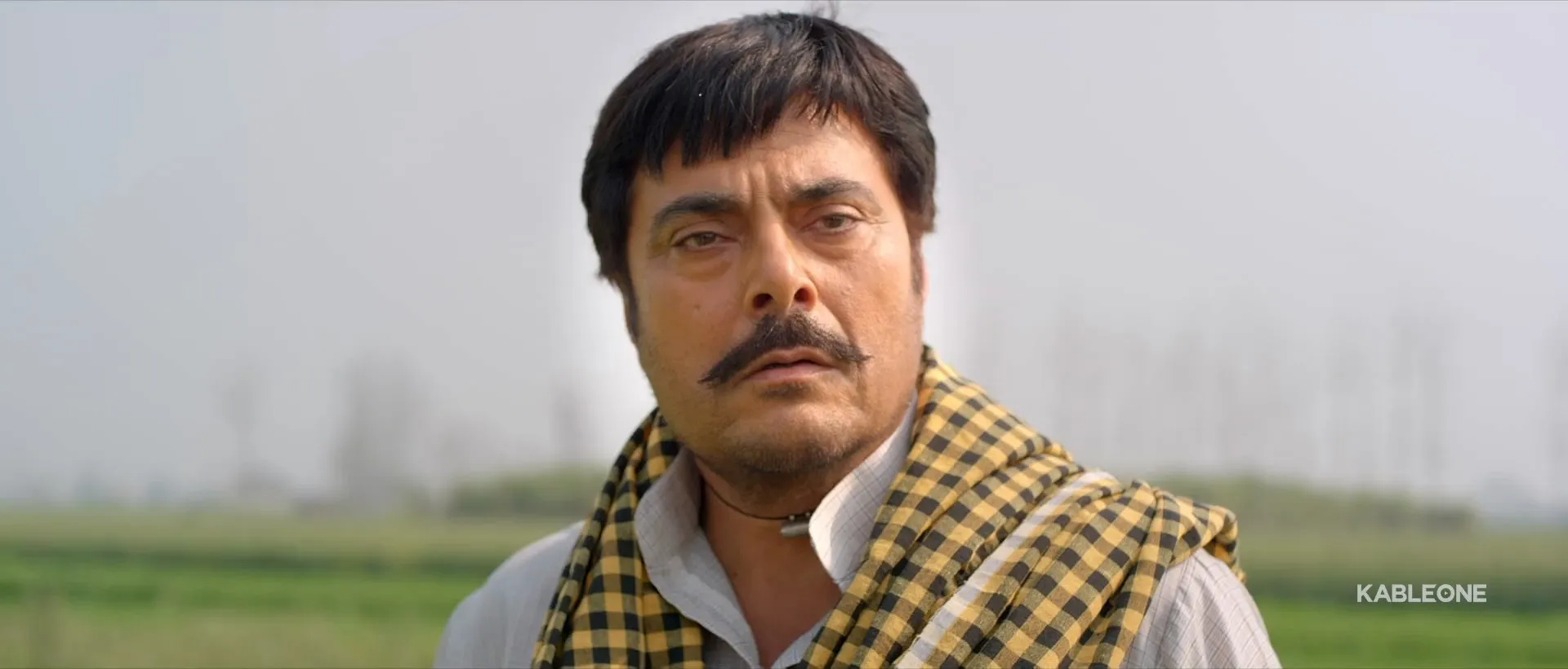 25 Kille 2016 Hindi – Punjabi Dual Audio WEB-DL 720p – 480p – 1080p screenshot 4