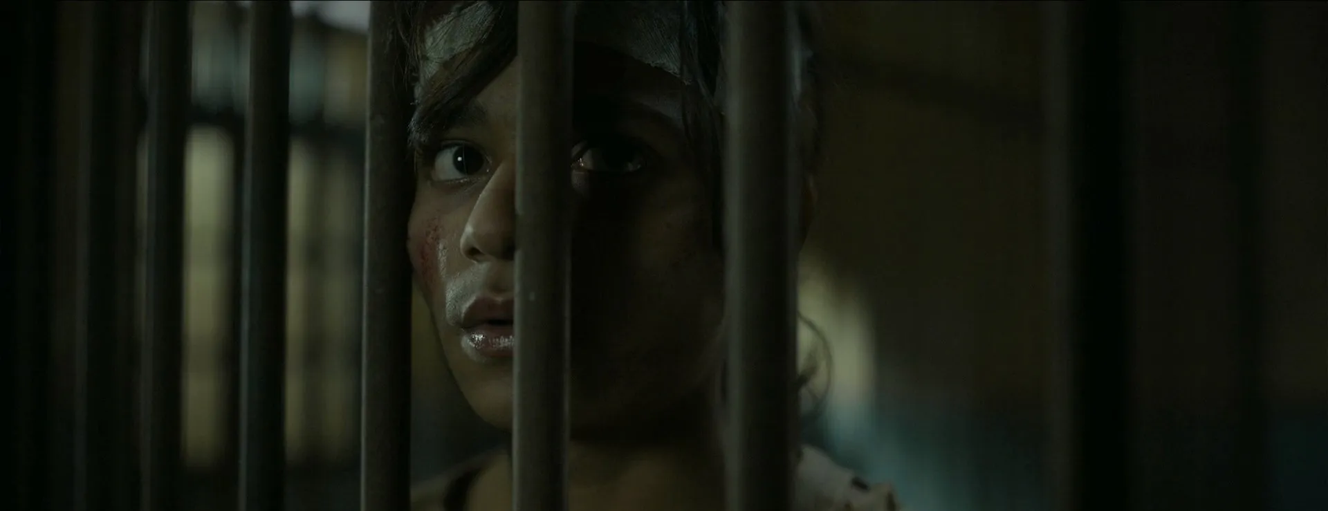 55 2025 Hindi Dual Audio WEB-DL 720p – 480p – 1080p screenshot 5