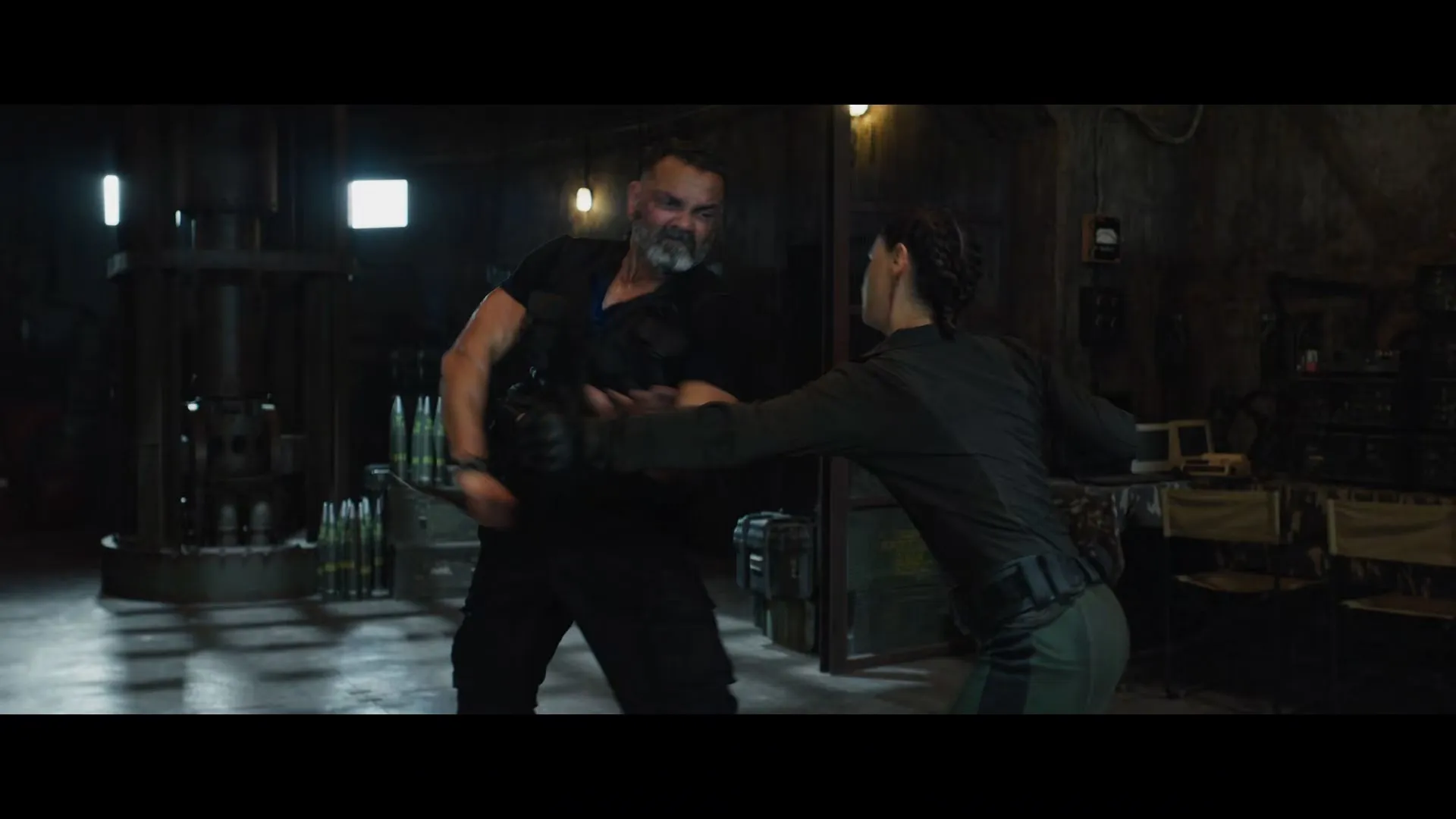 Alpha 2026 Hindi Dual Audio WEB-DL 720p – 480p – 1080p screenshot 5