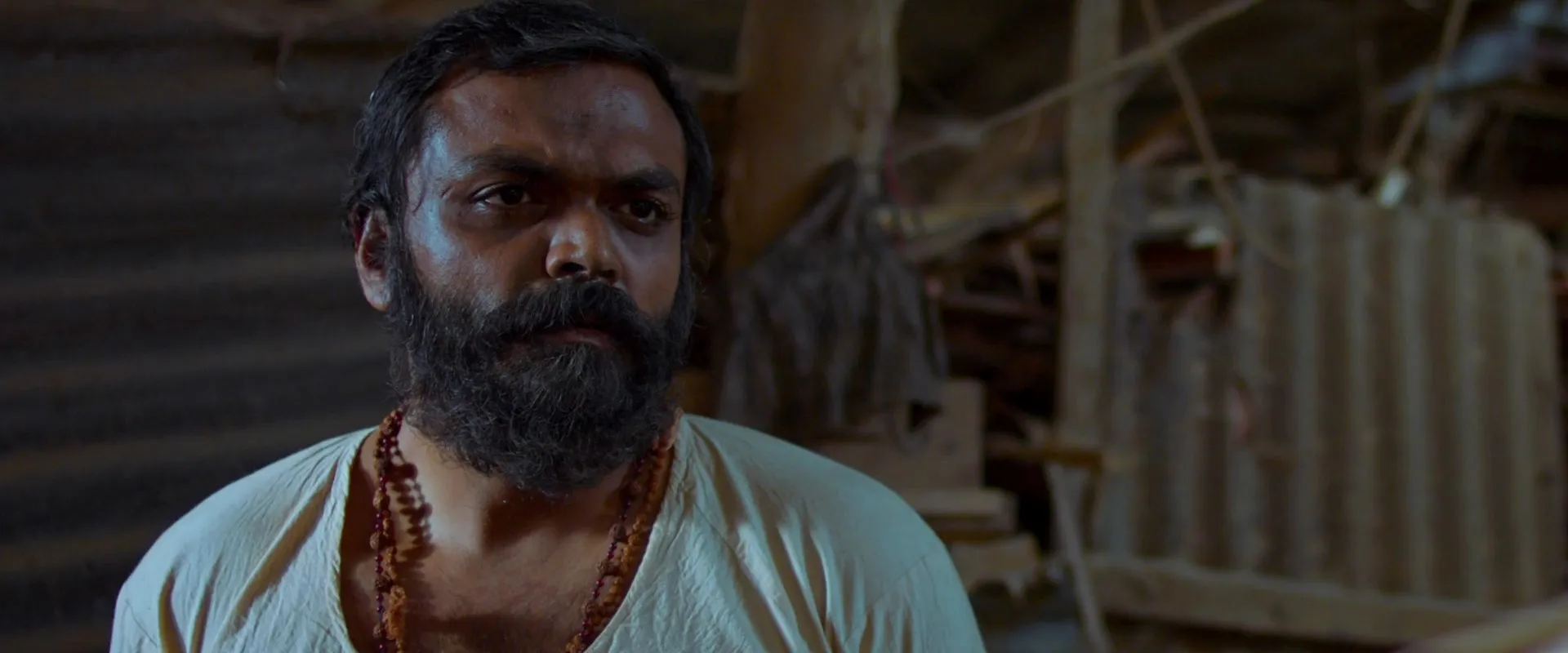 Bardovi 2024 Hindi Dual Audio WEB-DL 720p – 480p – 1080p screenshot 3