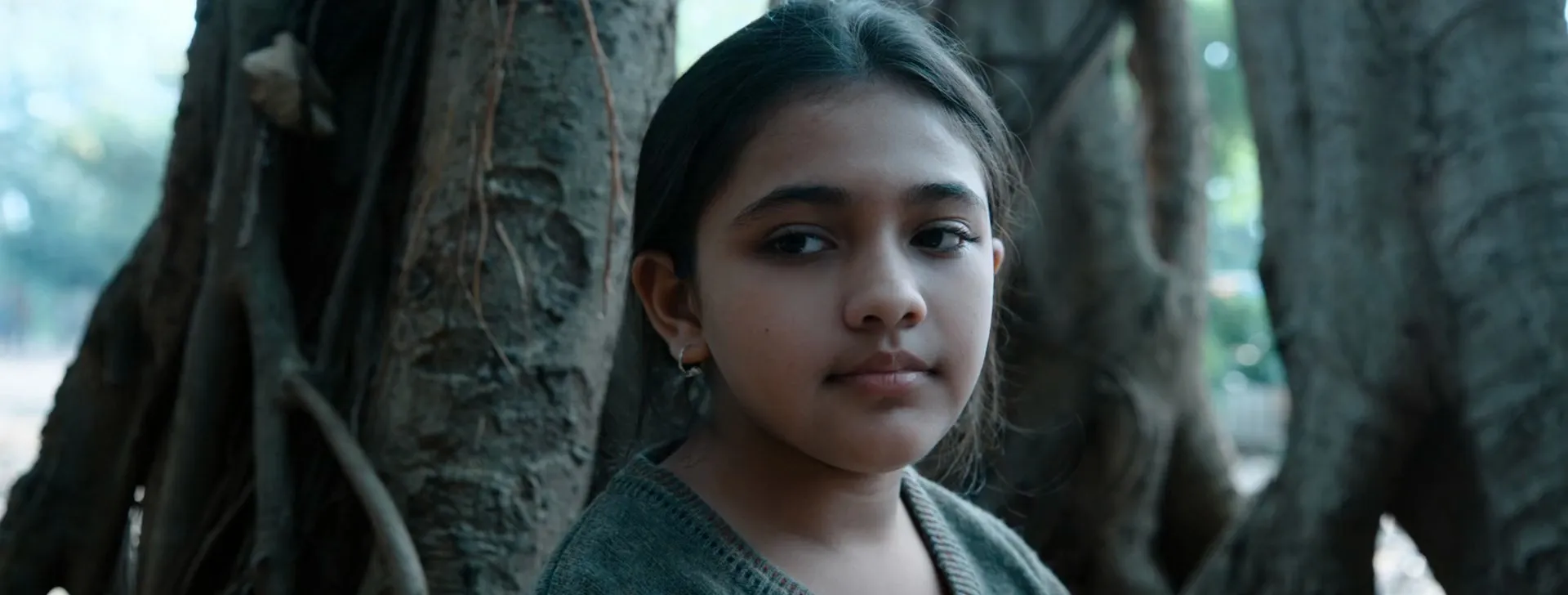 Bholaa 2023 Hindi Dual Audio WEB-DL 720p – 480p – 1080p screenshot 5