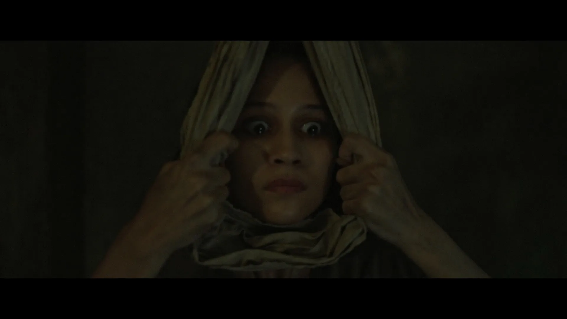 Cerita Lila 2026 Hindi Dual Audio WEB-DL 720p – 480p – 1080p screenshot 4