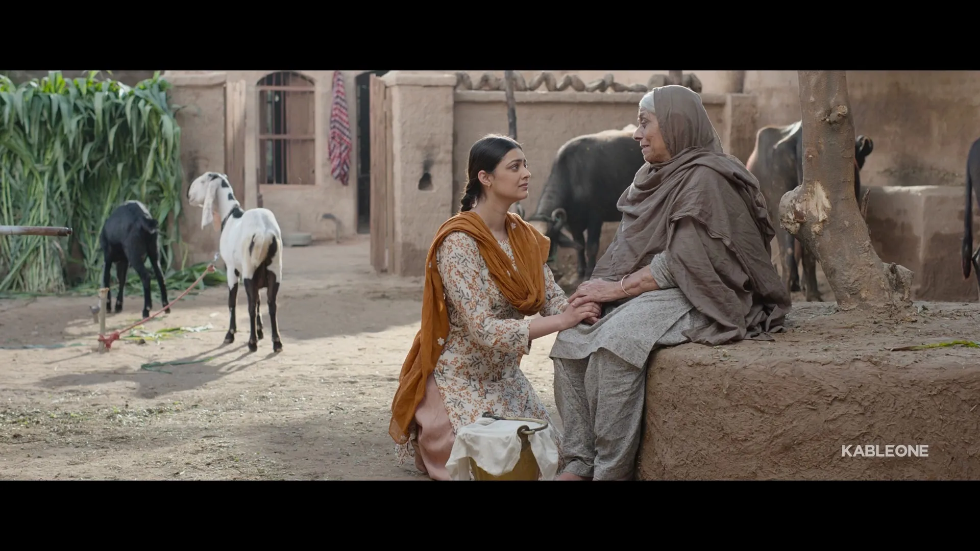 Chaali Din 2026 Punjabi Dual Audio WEB-DL 720p – 480p – 1080p screenshot 1