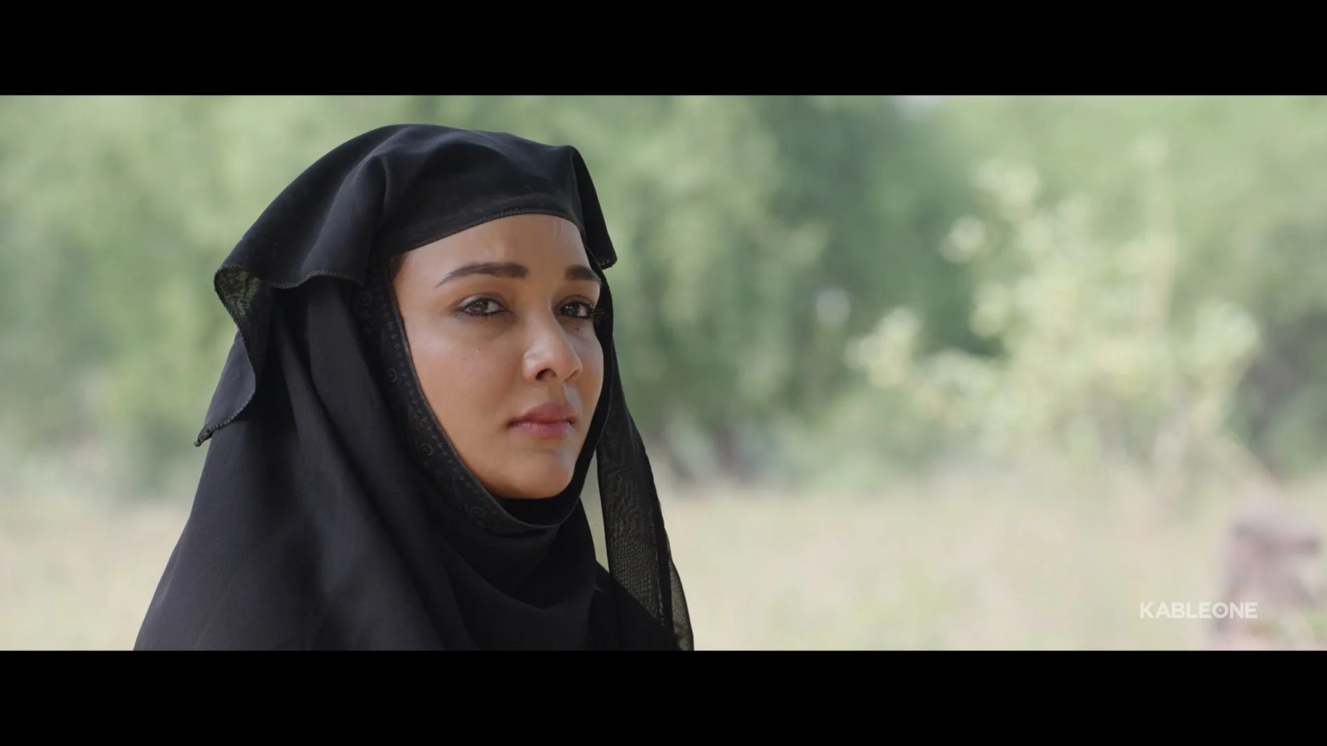 Chaali Din 2026 Punjabi Dual Audio WEB-DL 720p – 480p – 1080p screenshot 4