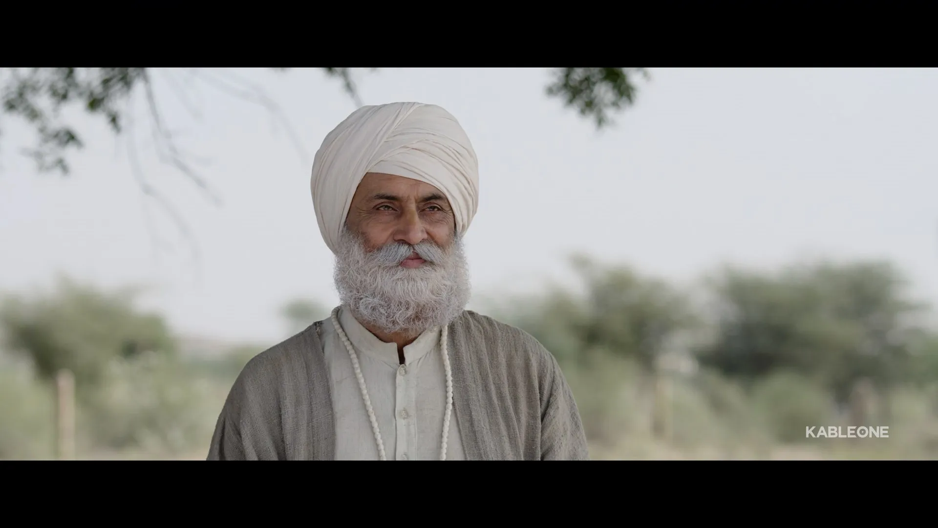 Chaali Din 2026 Punjabi Dual Audio WEB-DL 720p – 480p – 1080p screenshot 5