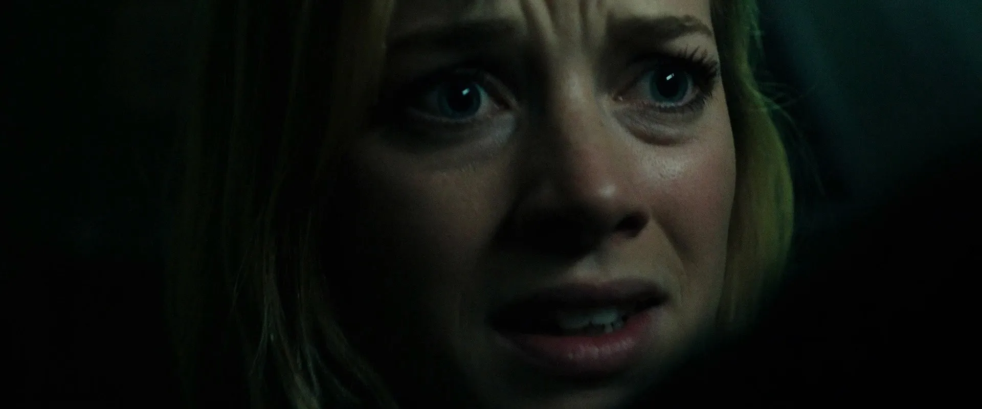 Don’t Breathe 2016 Hindi Dual Audio WEB-DL 720p – 480p – 1080p screenshot 4