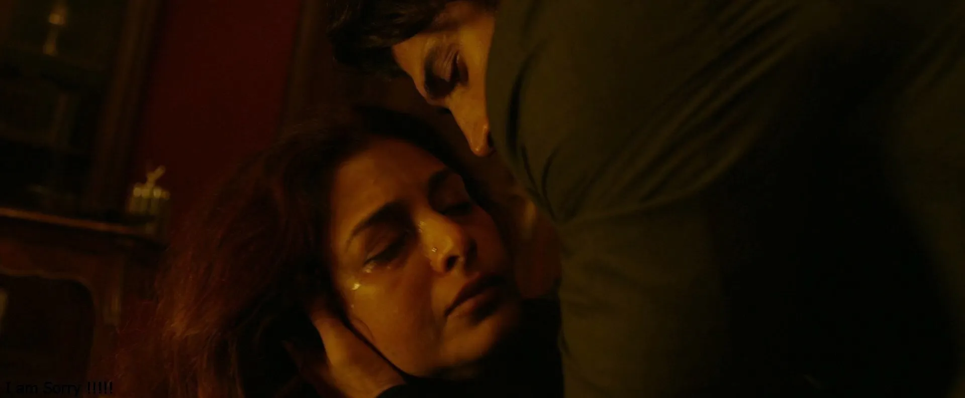 Fitoor 2016 Hindi Dual Audio WEB-DL 720p – 480p – 1080p screenshot 5