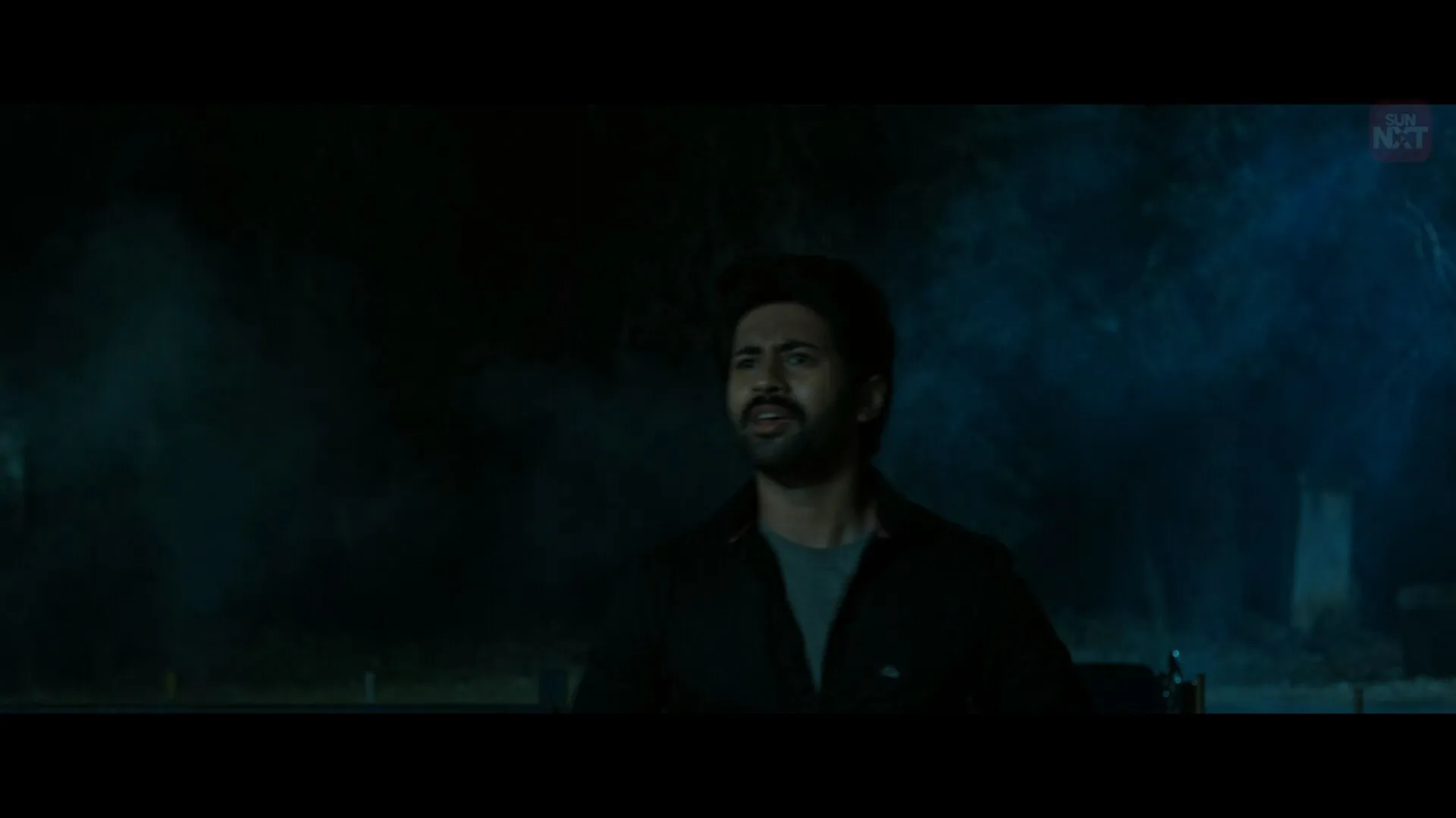 Hide N Seek 2024 Hindi Dual Audio WEB-DL 720p – 480p – 1080p screenshot 1