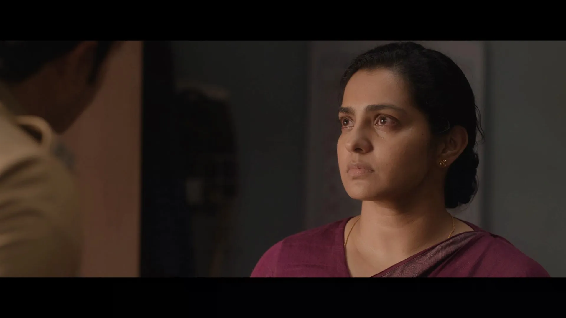 I, Nobody 2026 Hindi – Malayalam Dual Audio WEB-DL 720p – 480p – 1080p screenshot 3