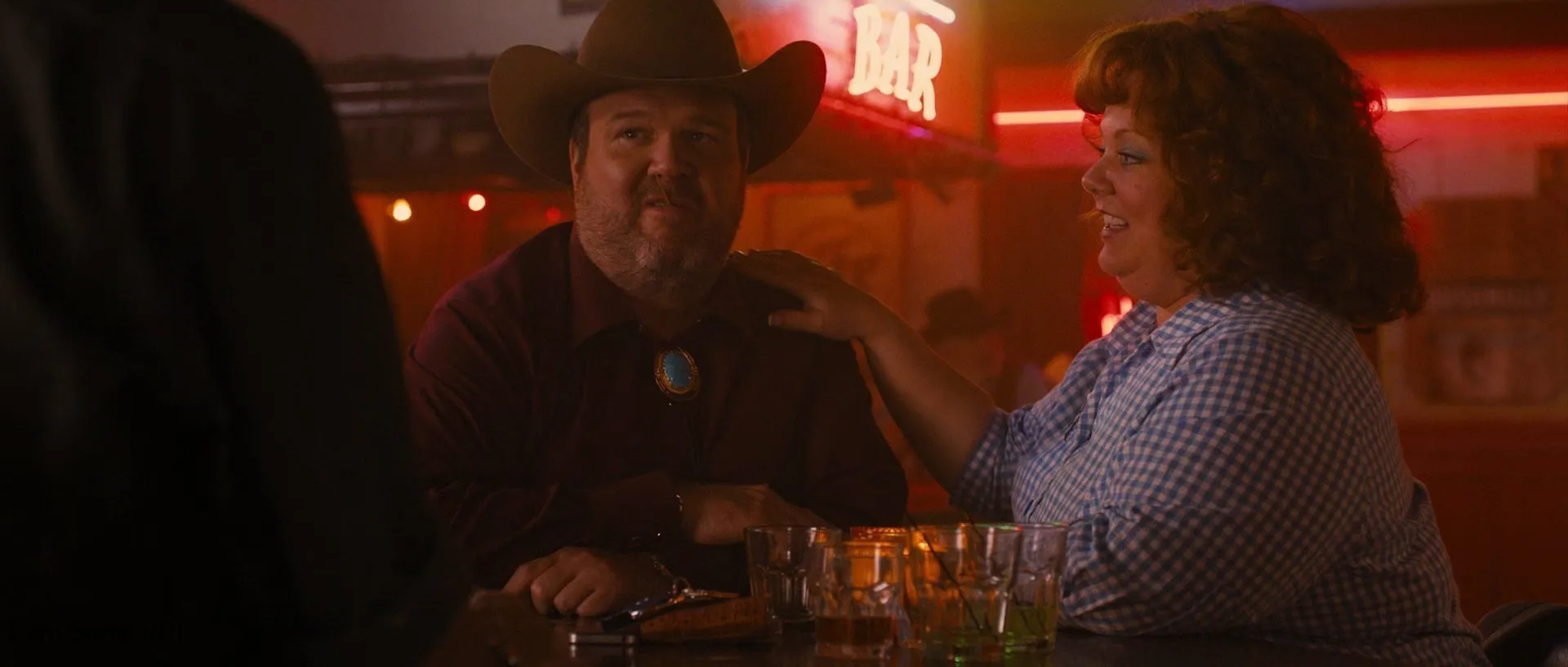 Identity Thief 2013 Hindi – English Dual Audio WEB-DL 720p – 480p – 1080p screenshot 3