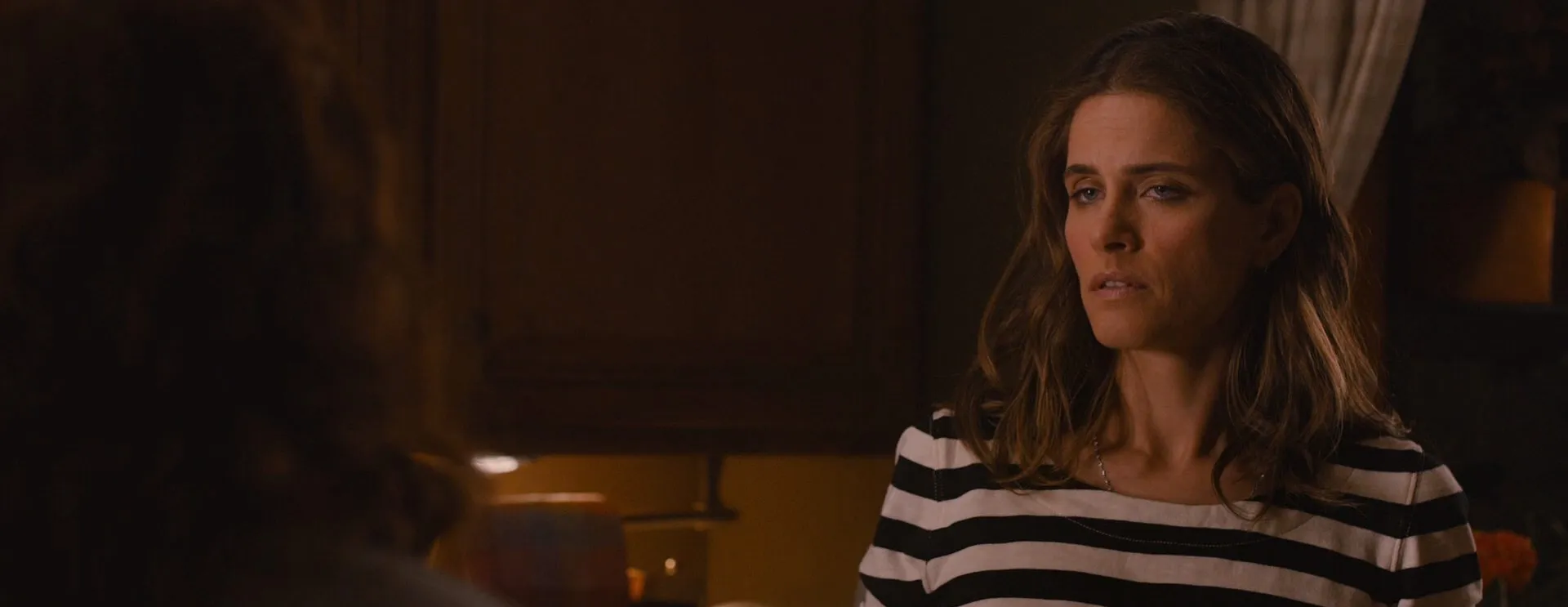 Identity Thief 2013 Hindi – English Dual Audio WEB-DL 720p – 480p – 1080p screenshot 5