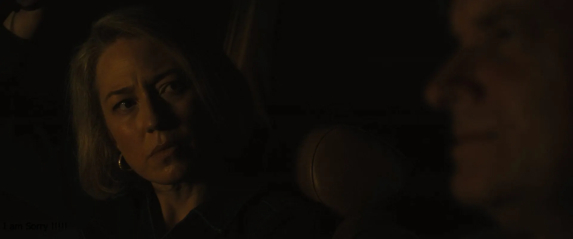 Lake George 2025 Hindi – English Dual Audio WEB-DL 720p – 480p – 1080p (2024) screenshot 2