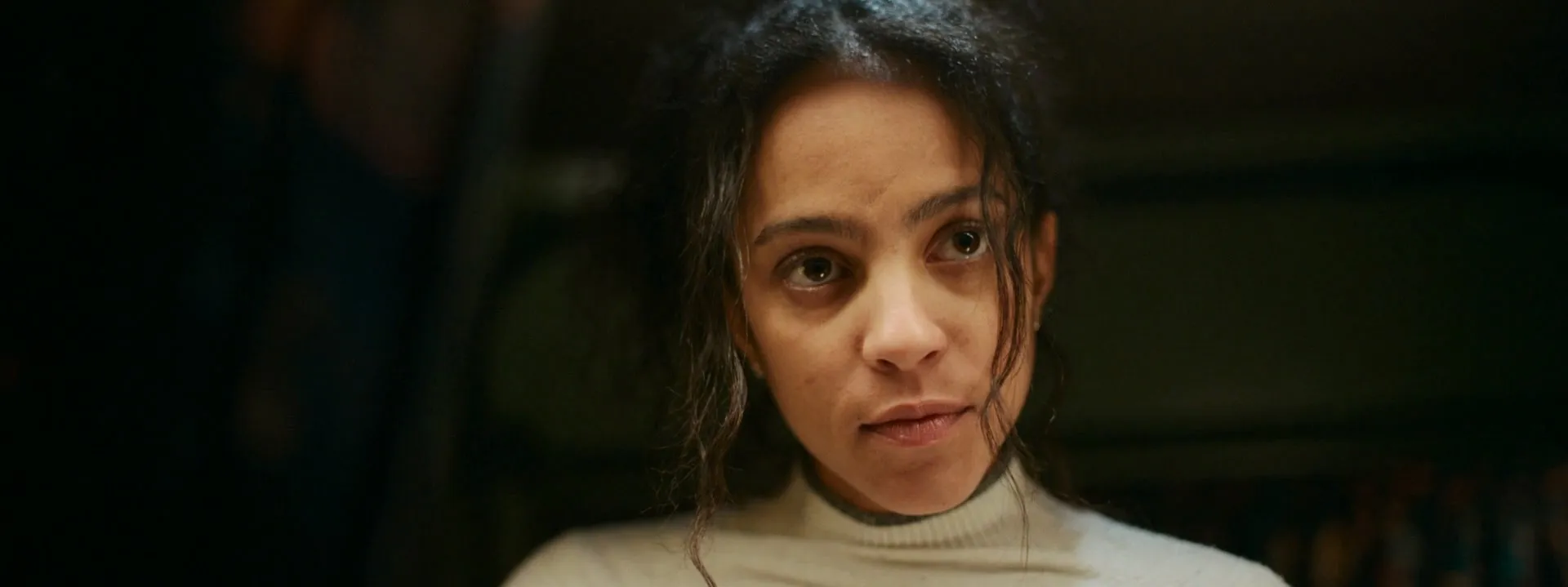 Passenger 2026 Hindi – English Dual Audio WEB-DL 720p – 480p – 1080p screenshot 1