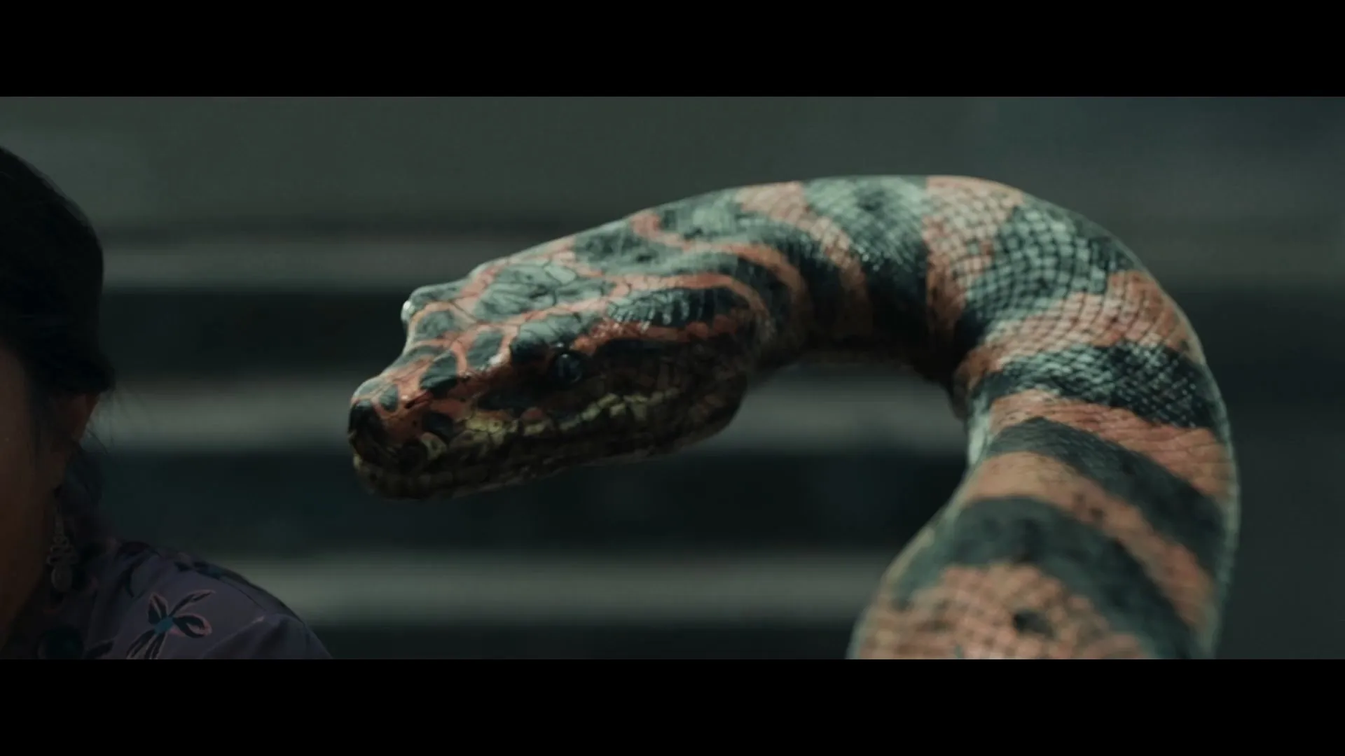 Snake Woman 2025 Hindi Dual Audio WEB-DL 720p – 480p – 1080p screenshot 1