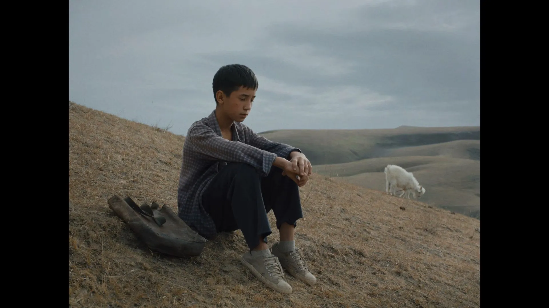 The Botanist 2026 Hindi – Kazakh Audio WEB-DL 720p – 480p – 1080p screenshot 2