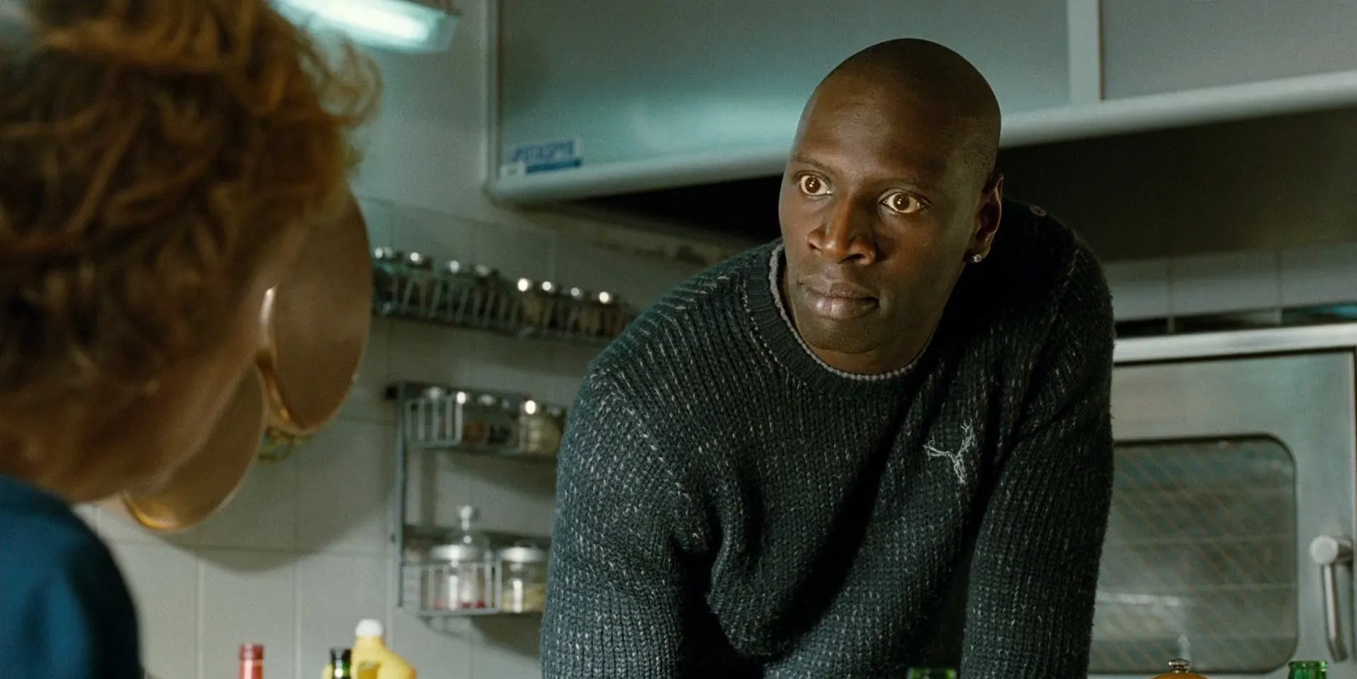 The Intouchables 2011 Hindi – English Dual Audio WEB-DL 720p – 480p – 1080p screenshot 1