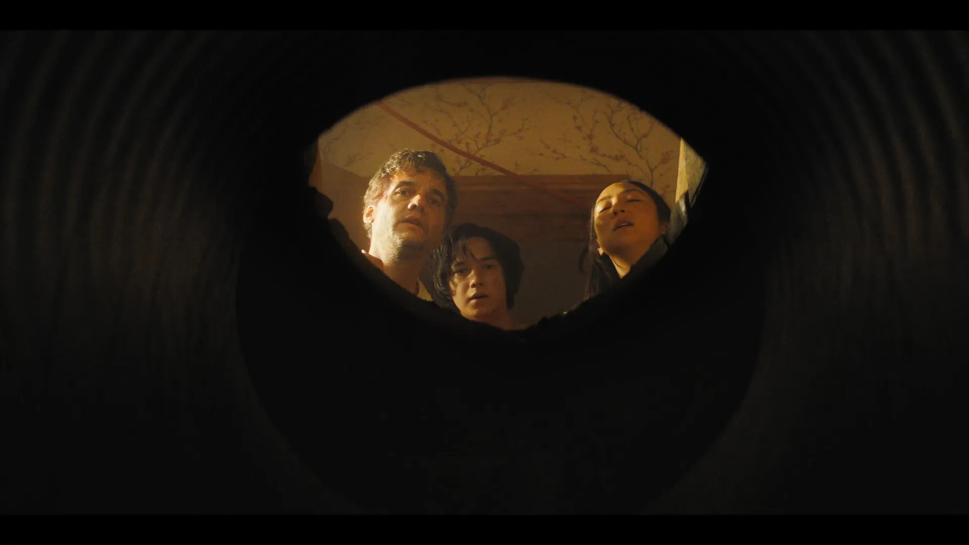 The Last House 2026 Hindi – English Dual Audio WEB-DL 720p – 480p – 1080p screenshot 4