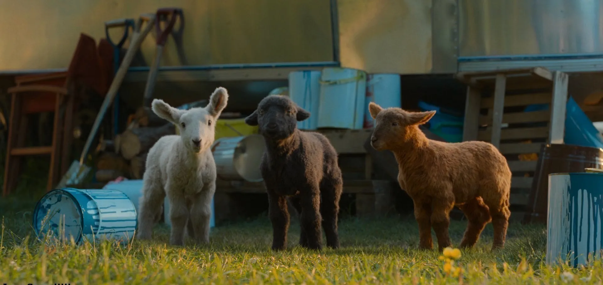 The Sheep Detectives 2026 Hindi – English Dual Audio WEB-DL 720p – 480p – 1080p screenshot 1