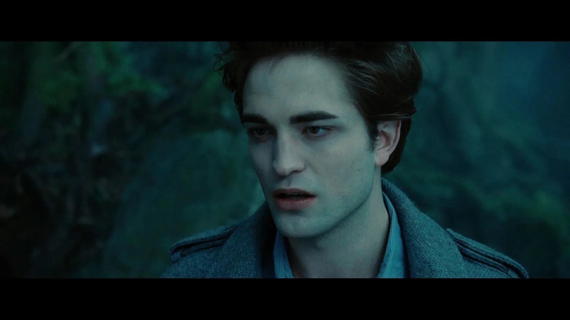 Twilight 2008 Hindi – English Dual Audio WEB-DL 720p – 480p – 1080p screenshot 3