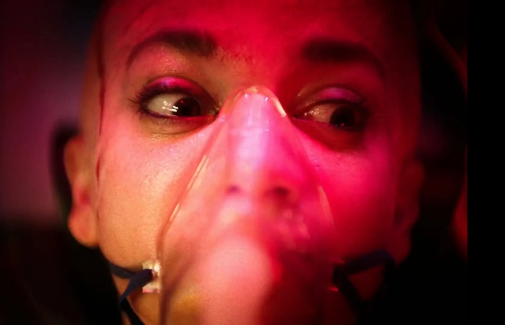 Twisted 2026 Hindi Dual Audio WEB-DL 720p – 480p- 1080p screenshot 2