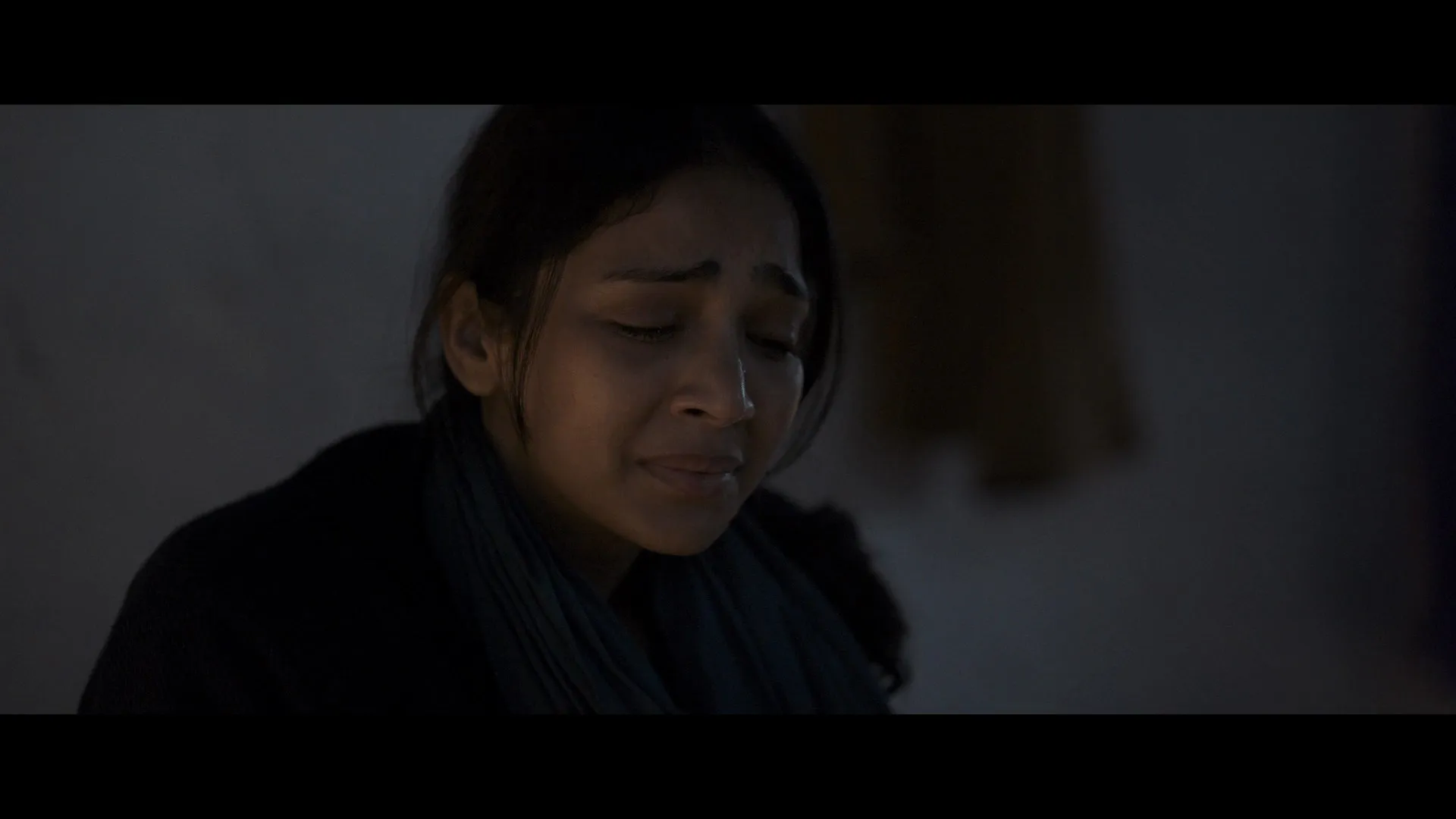 Vadh 2 2026 Hindi Dual Audio WEB-DL 720p – 480p – 1080p screenshot 3
