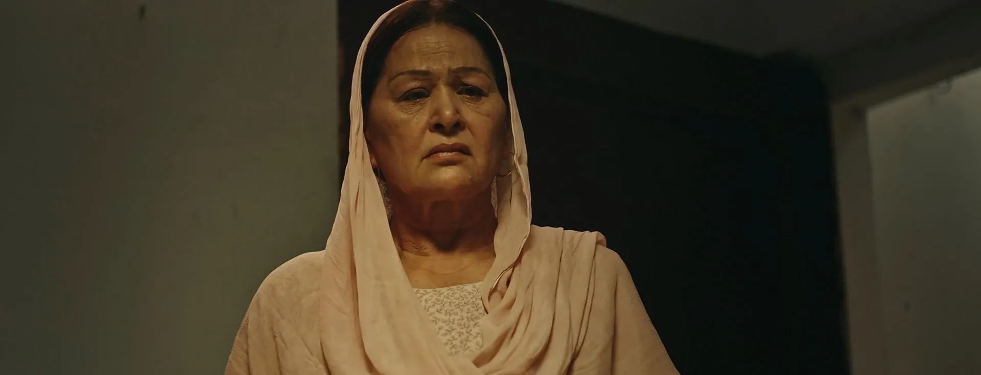 Vajood 2023 Punjabi Dual Audio WEB-DL 720p – 480p – 1080p screenshot 3