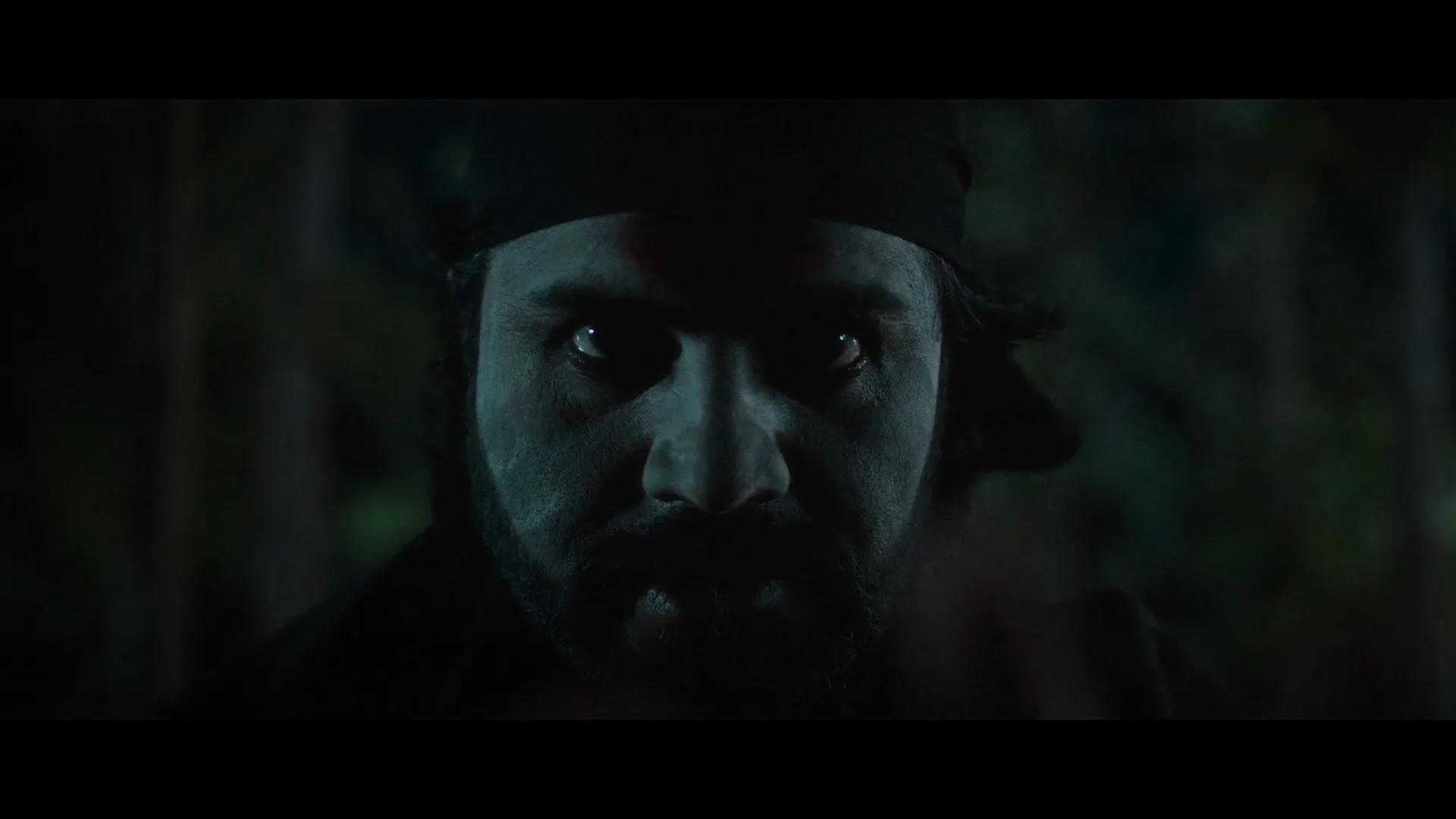 Vishwaguru 2025 Hindi Dual Audio WEB-DL 720p – 480p – 1080p screenshot 2
