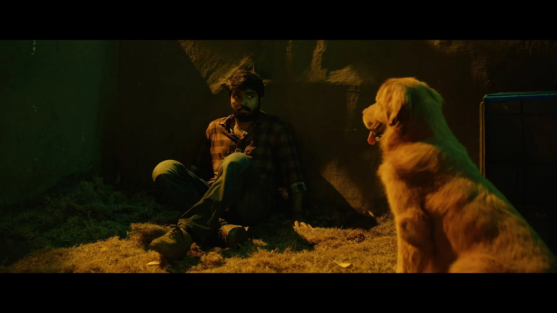 Watchman 2019 Hindi Dual Audio WEB-DL 720p – 480p – 1080p screenshot 4