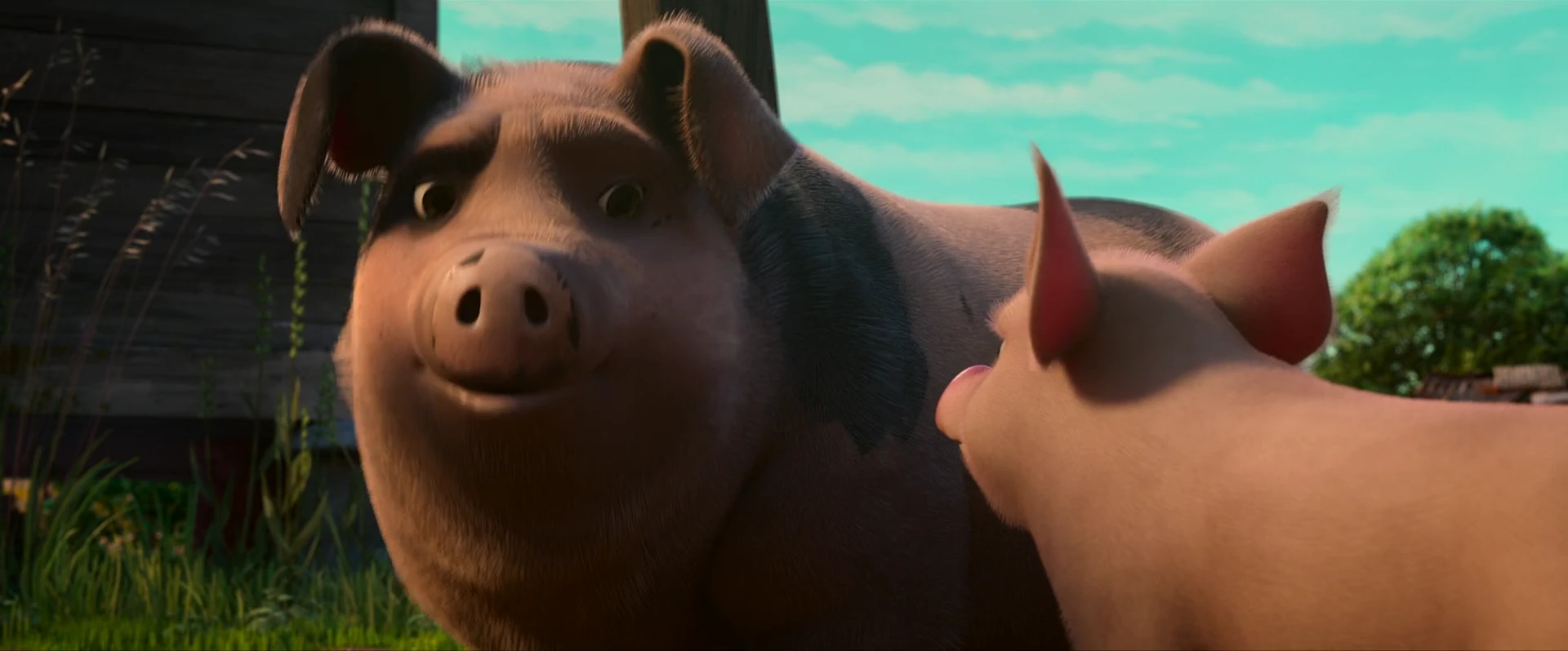 Animal Farm 2025 English Audio WEBRip 720p – 1080p screenshot 1