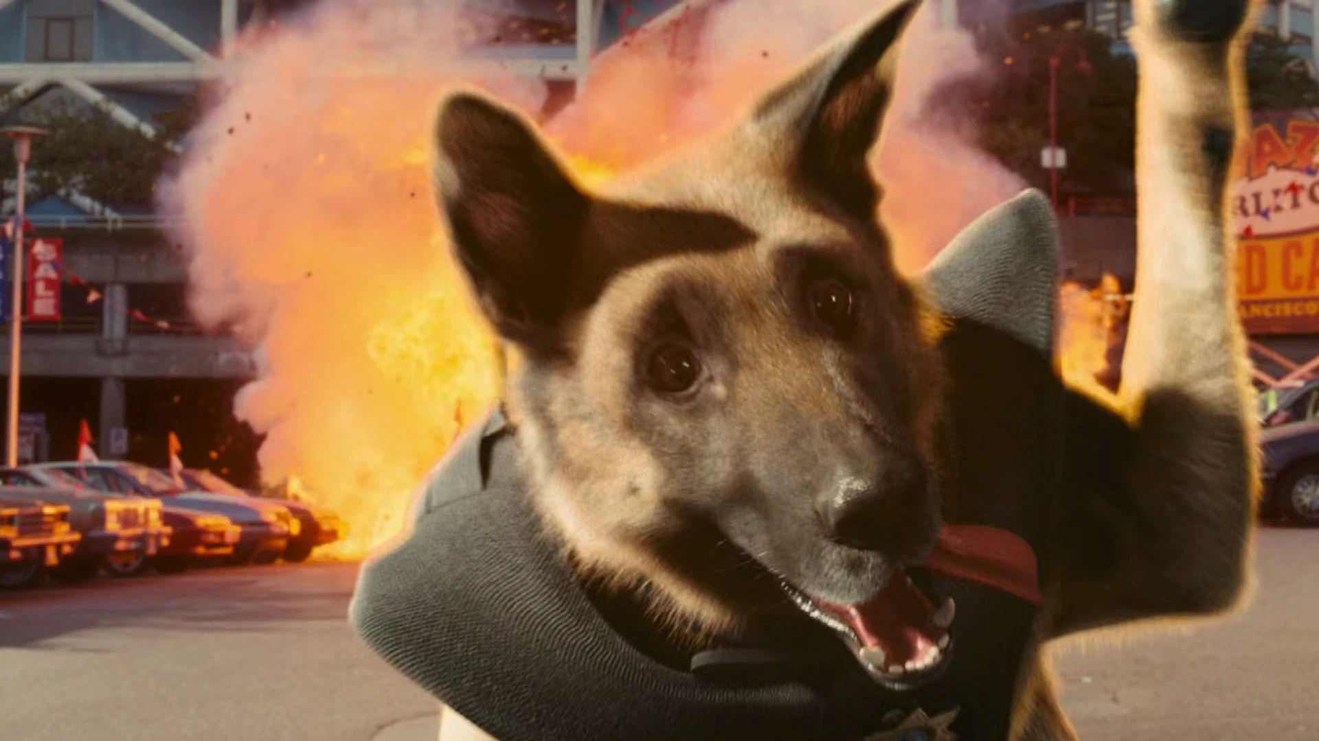 Cats & Dogs: The Revenge of Kitty Galore 2010 Hindi Dual Audio WEB-DL 720p – 480p – 1080p screenshot 1