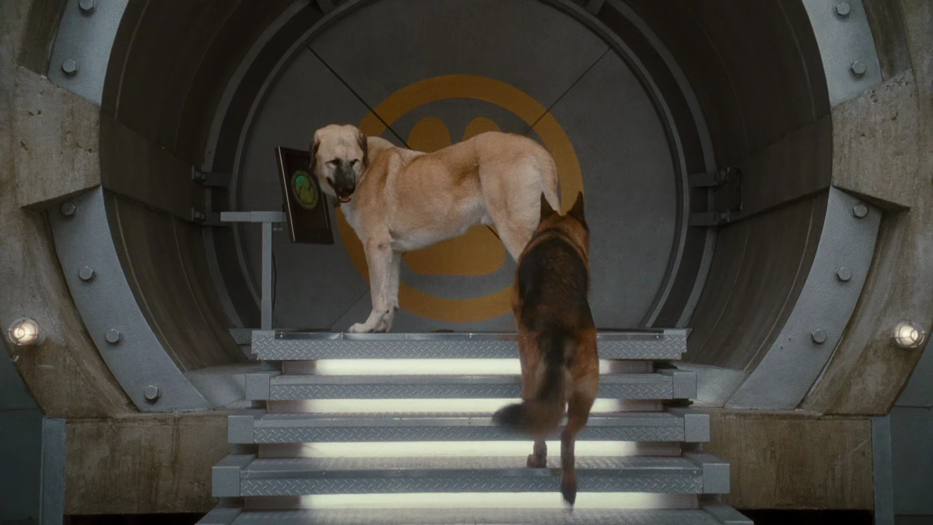 Cats & Dogs: The Revenge of Kitty Galore 2010 Hindi Dual Audio WEB-DL 720p – 480p – 1080p screenshot 2