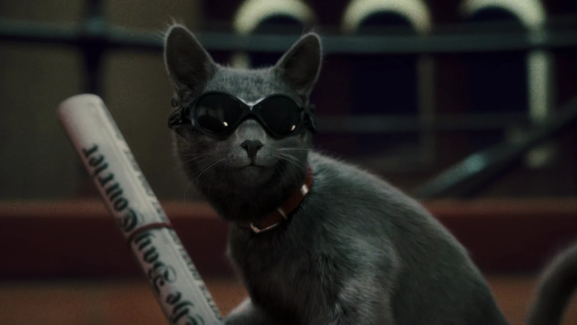 Cats & Dogs: The Revenge of Kitty Galore 2010 Hindi Dual Audio WEB-DL 720p – 480p – 1080p screenshot 5