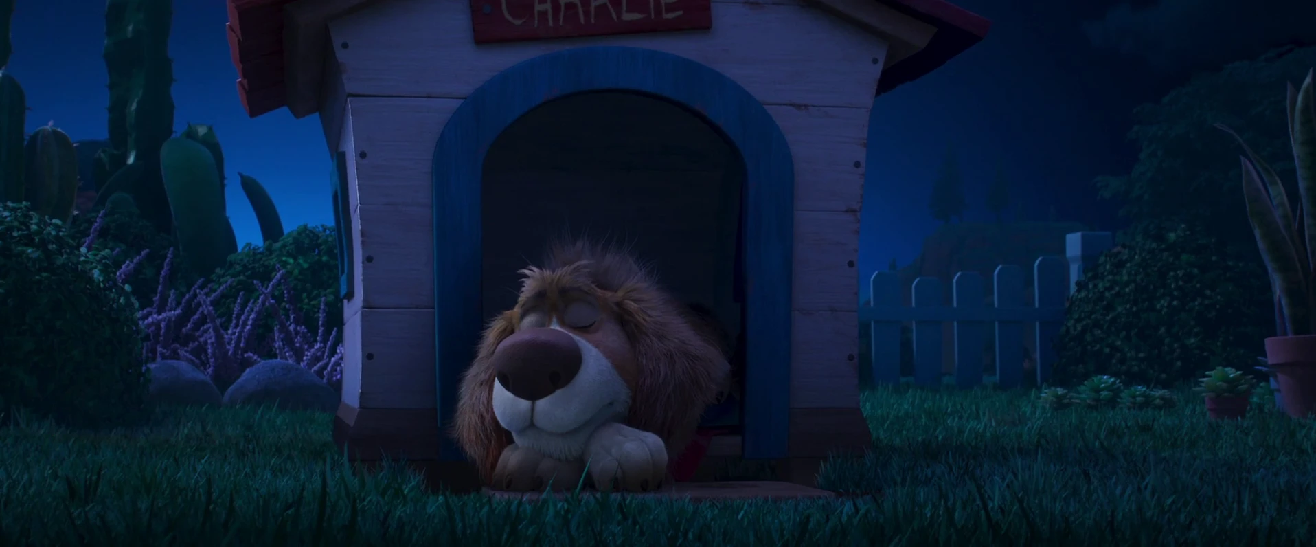Charlie The Wonderdog 2026 English Audio WEBRip 720p – 1080p screenshot 1