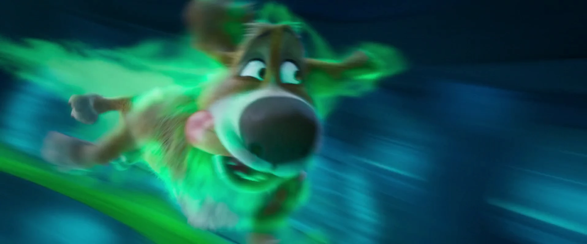 Charlie The Wonderdog 2026 English Audio WEBRip 720p – 1080p screenshot 2