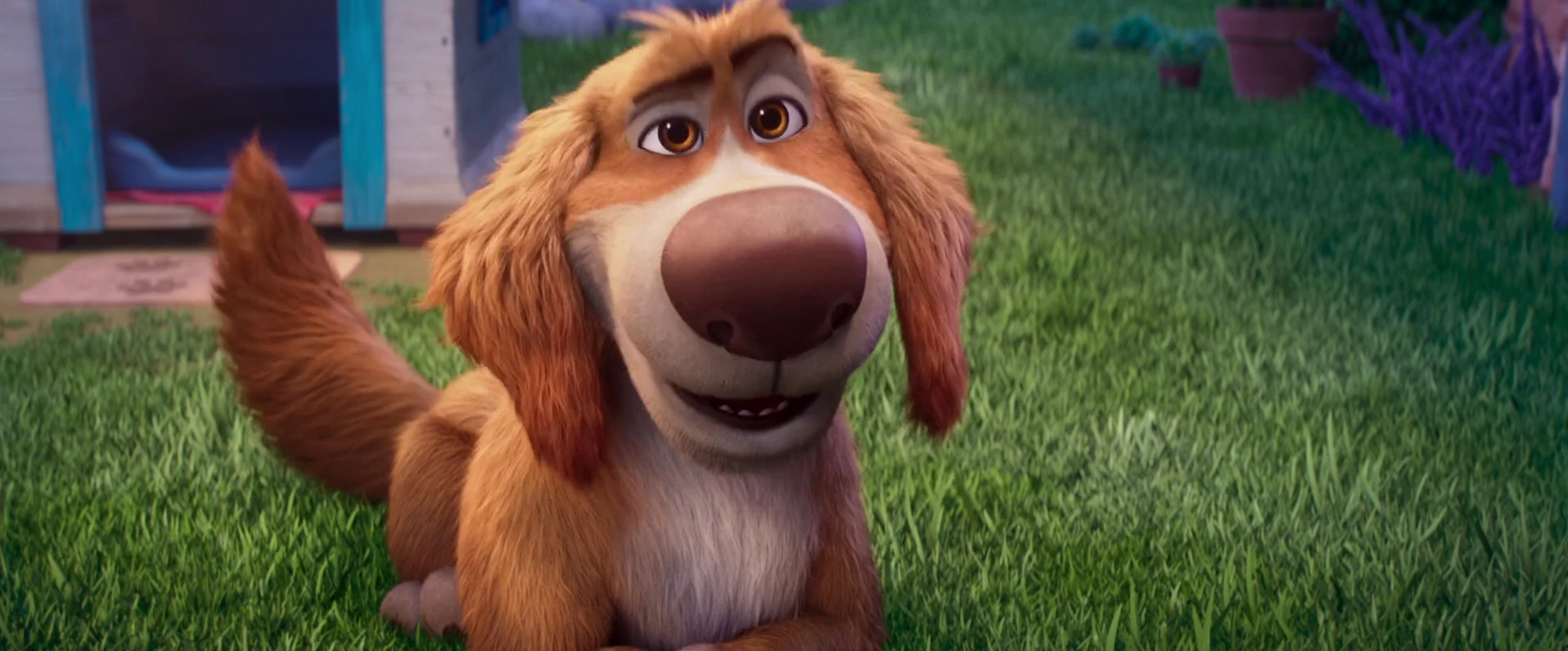 Charlie The Wonderdog 2026 English Audio WEBRip 720p – 1080p screenshot 4
