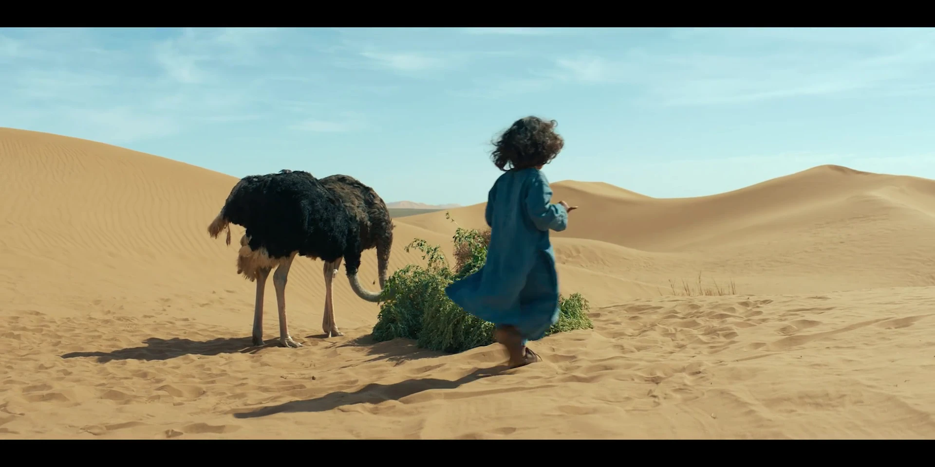 The Desert Child 2026 Hindi Dual Audio WEB-DL 720p – 480p – 1080p screenshot 3