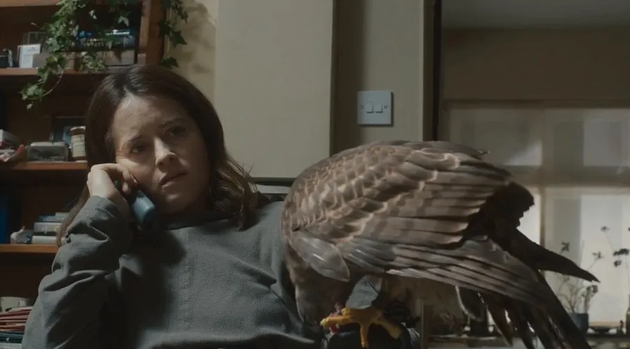 H Is for Hawk 2026 English Dual Audio WEB-DL 720p – 480p screenshot 4