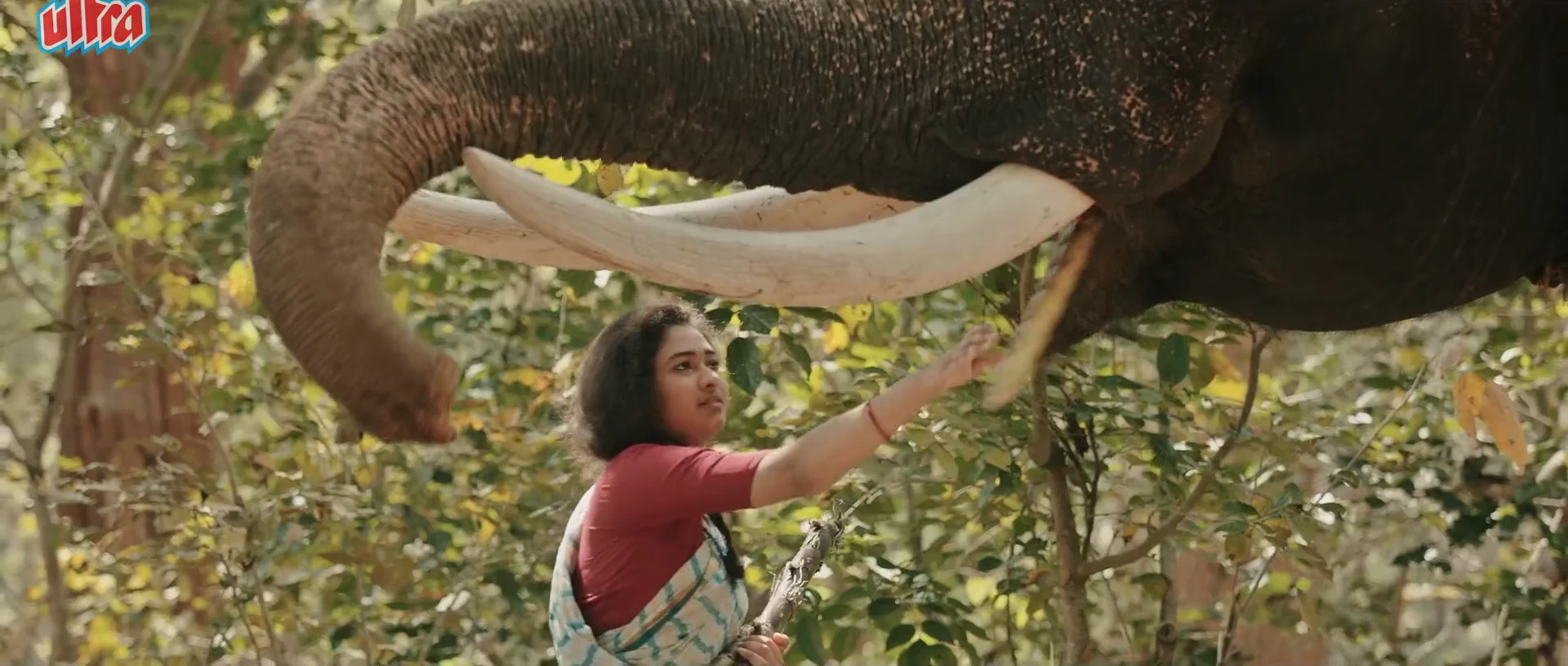 Mavuta 2026 Hindi Audio WEB-DL 720p – 480p – 1080p screenshot 3