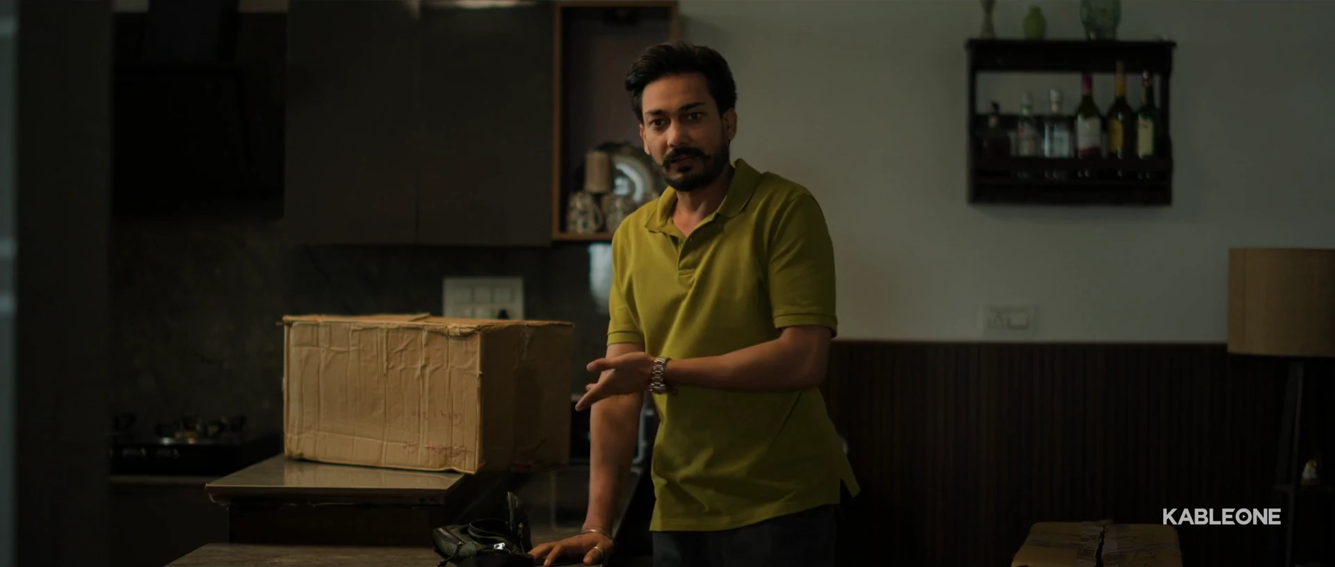 Maiin Haan 2026 Hindi Audio WEB-DL 720p – 480p – 1080p screenshot 1