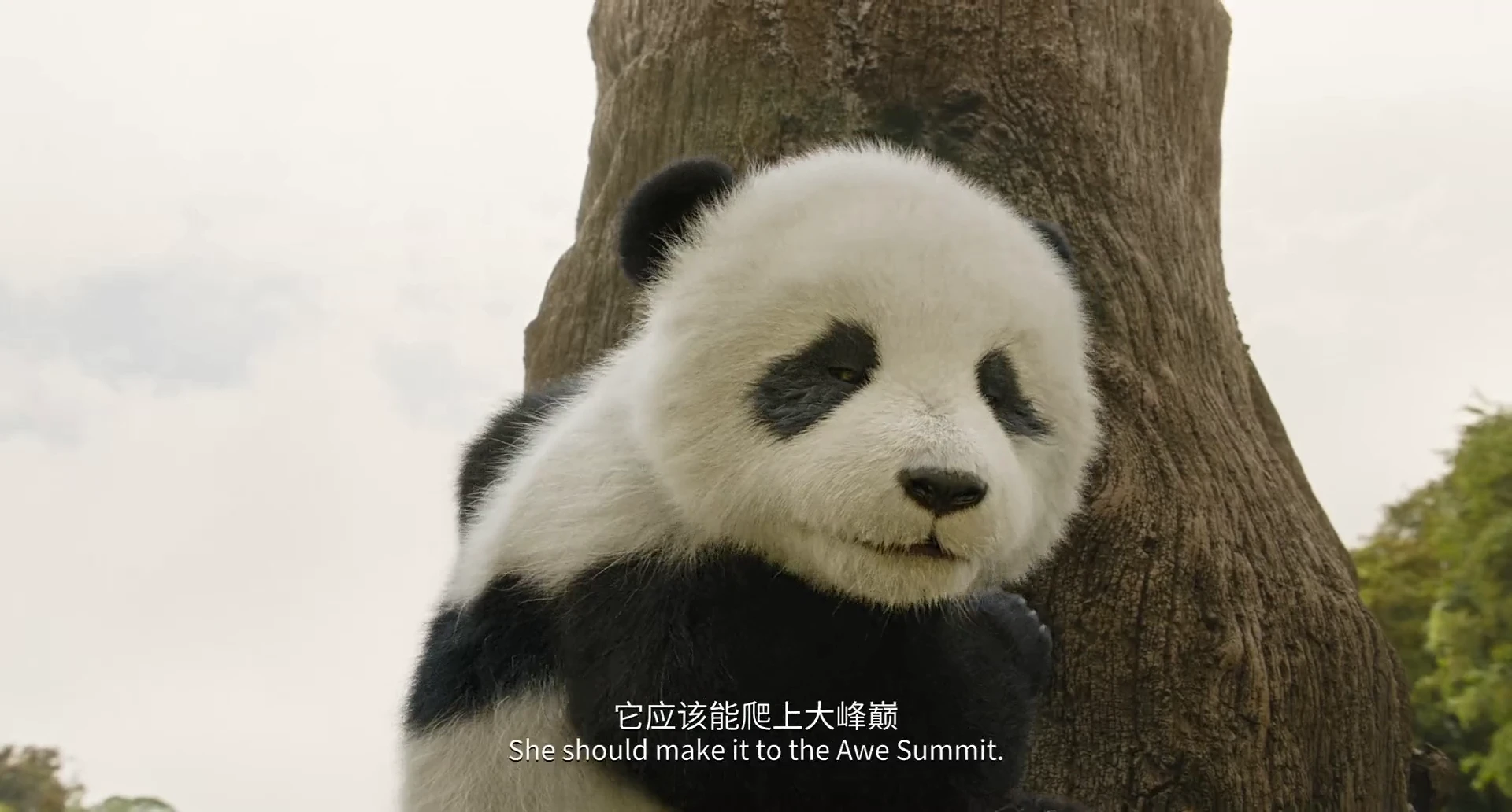 Panda Plan 2: The Magical Tribe 2026 Hindi Dual Audio WEB-DL 720p – 480p – 1080p screenshot 9