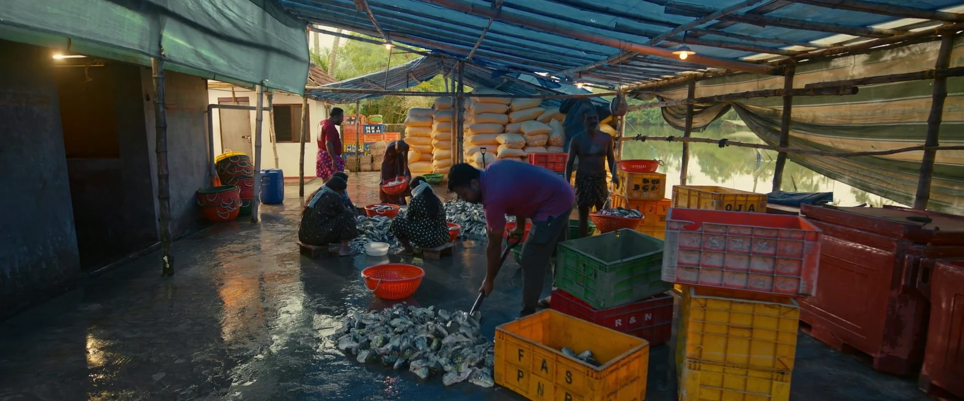Pongala 2026 Hindi Dual Audio WEB-DL 720p – 480p – 1080p screenshot 3