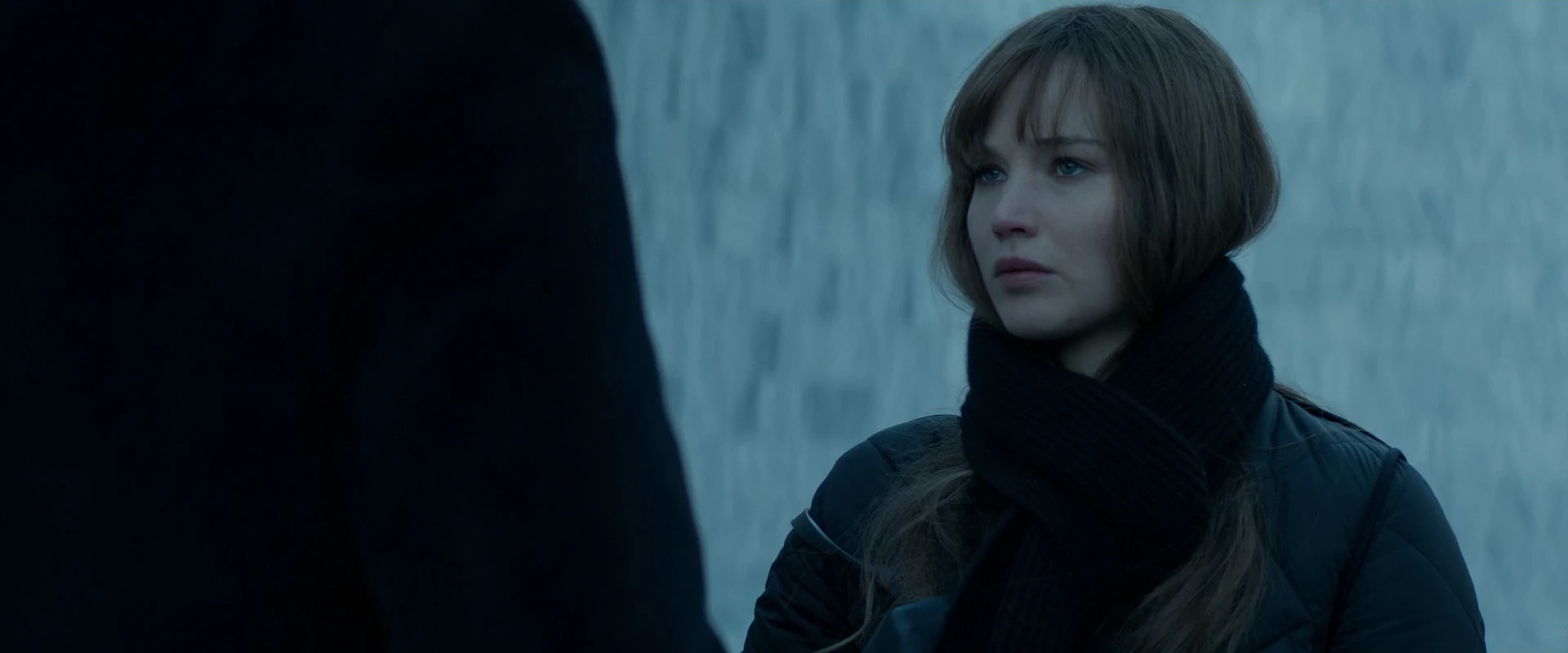 Red Sparrow 2018 Hindi Dual Audio WEB-DL 720p – 480p – 1080p screenshot 1