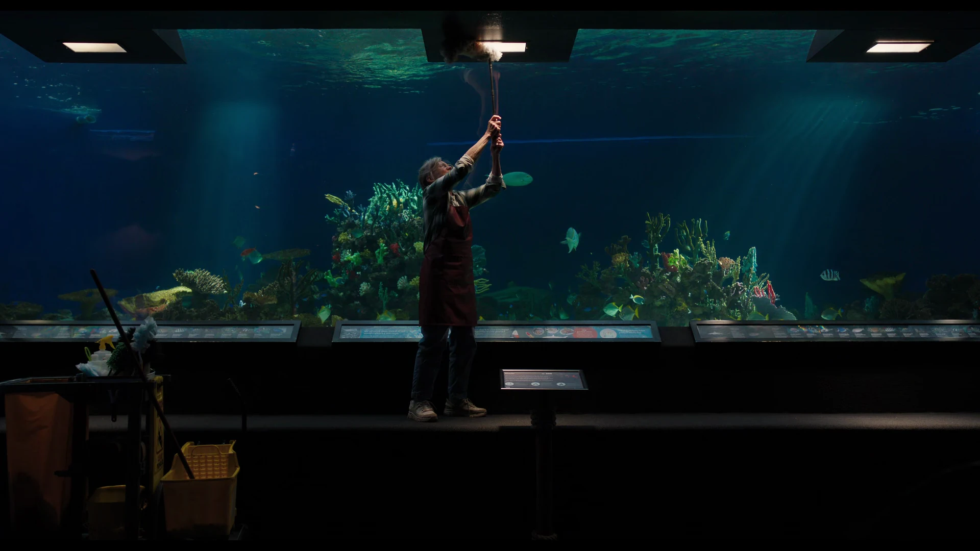 Remarkably Bright Creatures 2026 Hindi Dual Audio WEB-DL 720p – 480p – 1080p screenshot 1