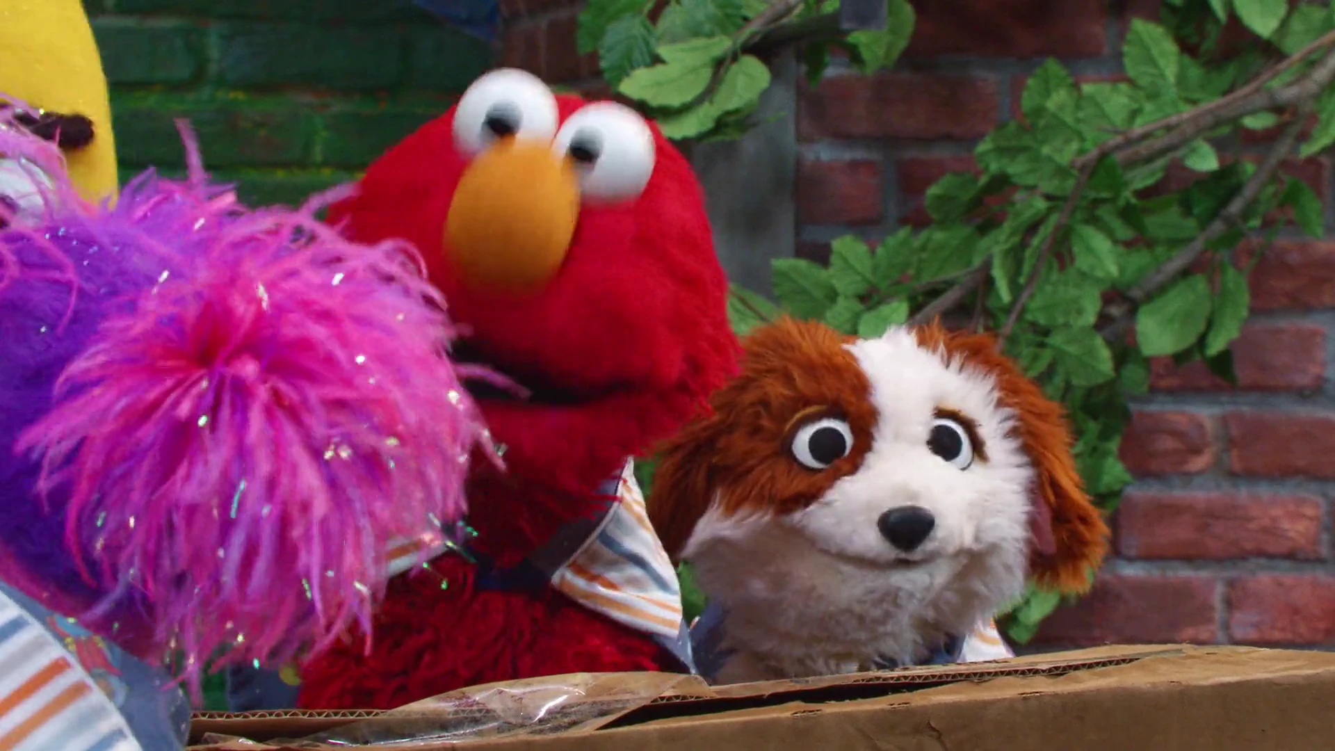 Storm on Sesame Street 2026 Hindi Dual Audio WEB-DL 720p – 480p – 1080p screenshot 6